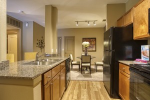2 Bedroom Apartments For Rent in San Antonio, TX - Model Kitchen & Dining Room 